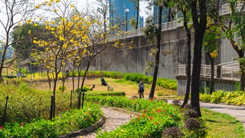 Central radiating pathways are lined with ornamental trees providing seasonal flower displays at different times of the year.